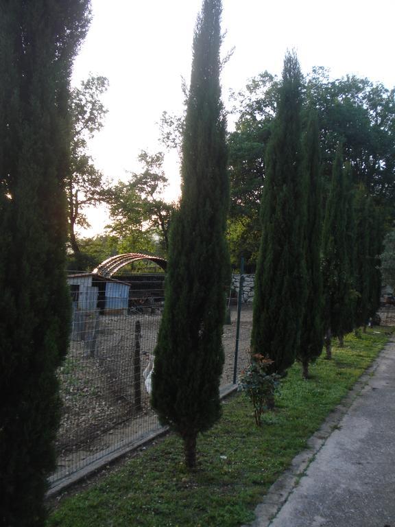 Agriturismo La Fattoria Сан Донато Вал ди Комино Екстериор снимка