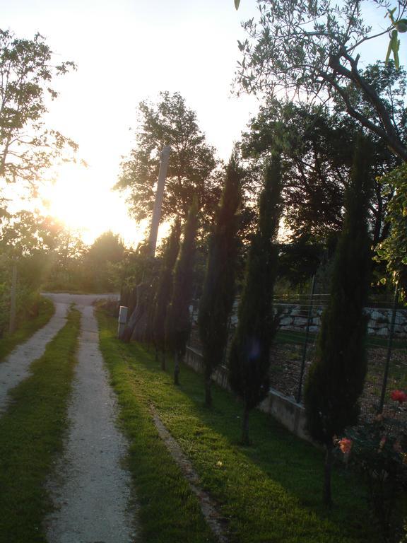 Agriturismo La Fattoria Сан Донато Вал ди Комино Екстериор снимка