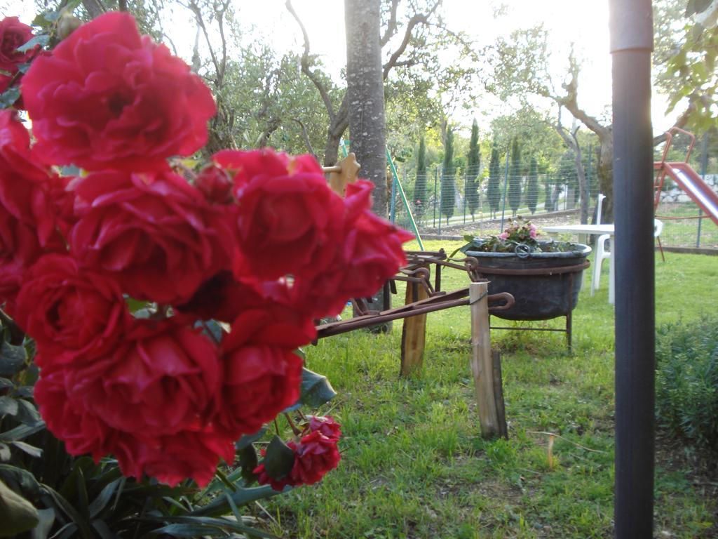 Agriturismo La Fattoria Сан Донато Вал ди Комино Екстериор снимка